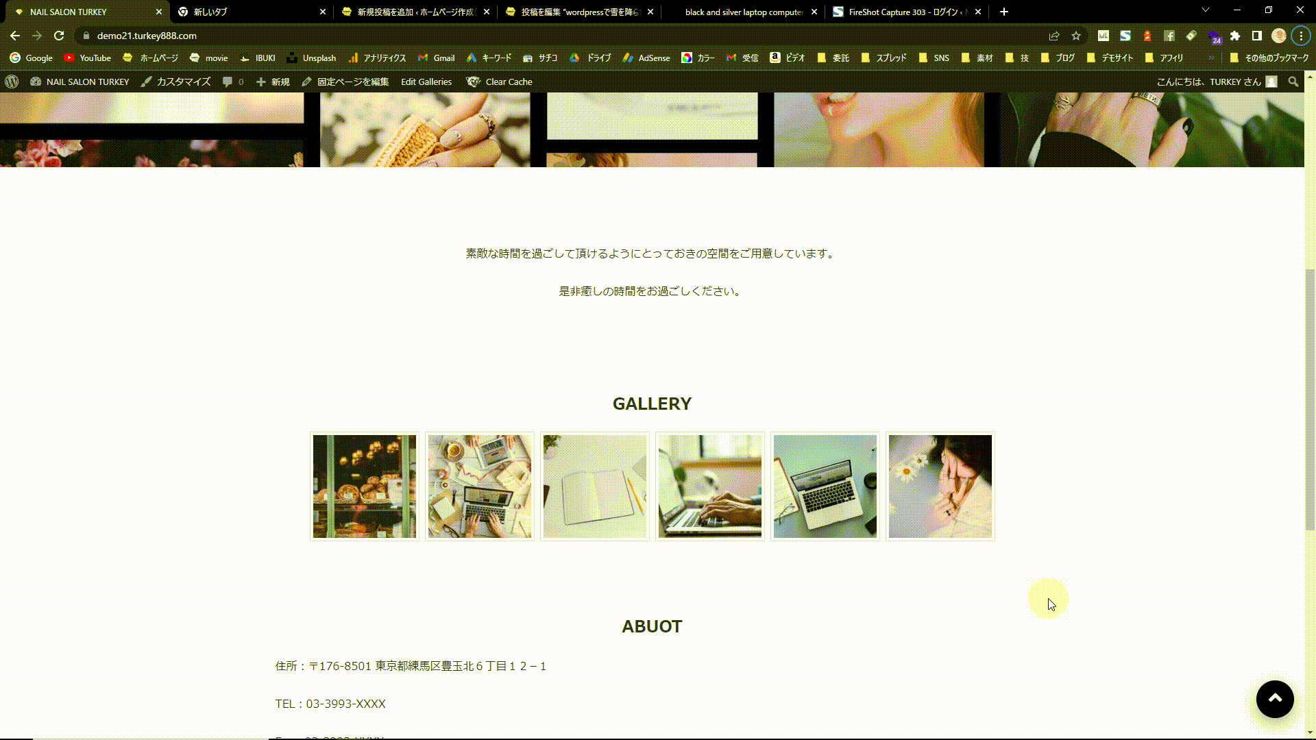 見本