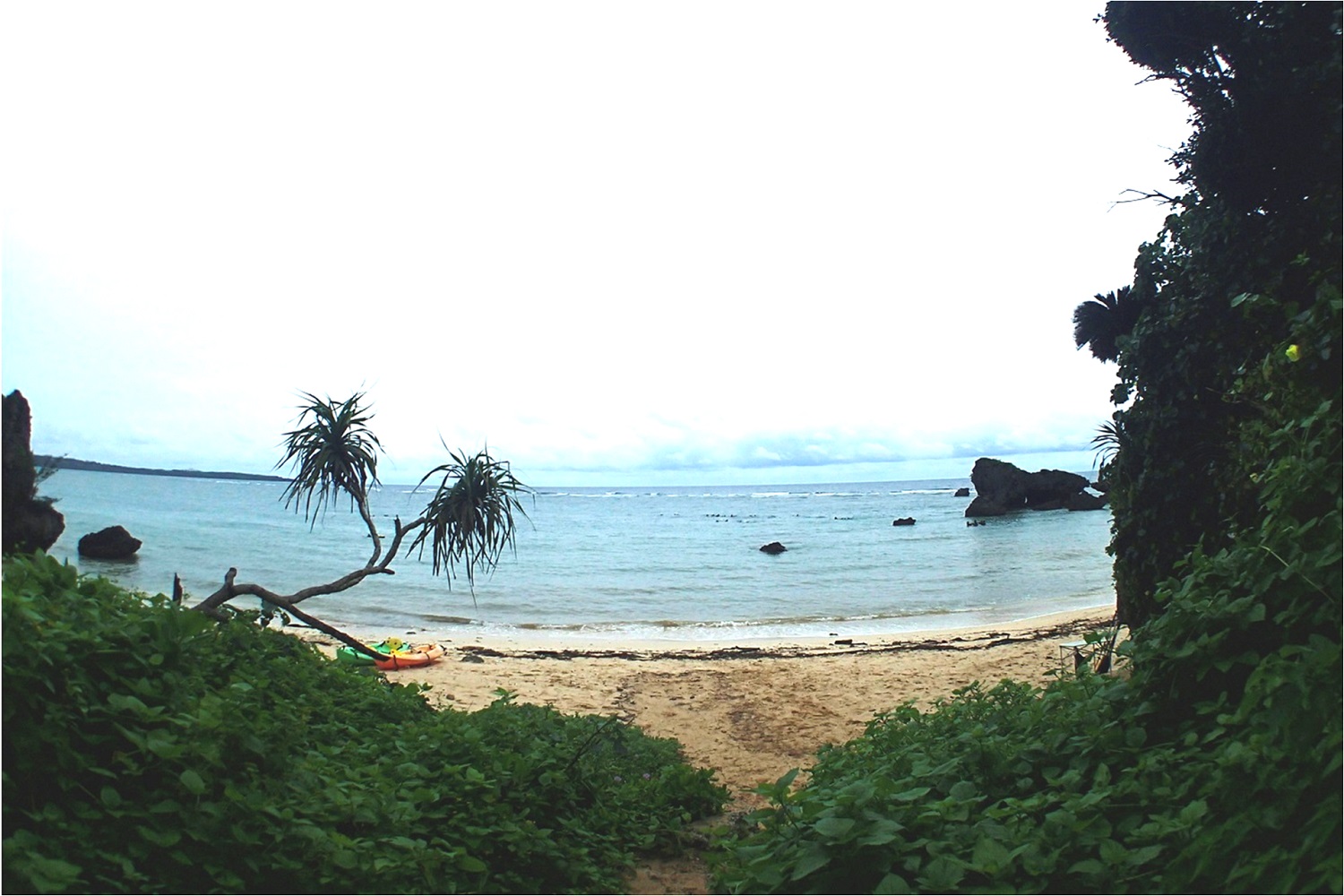 浜辺